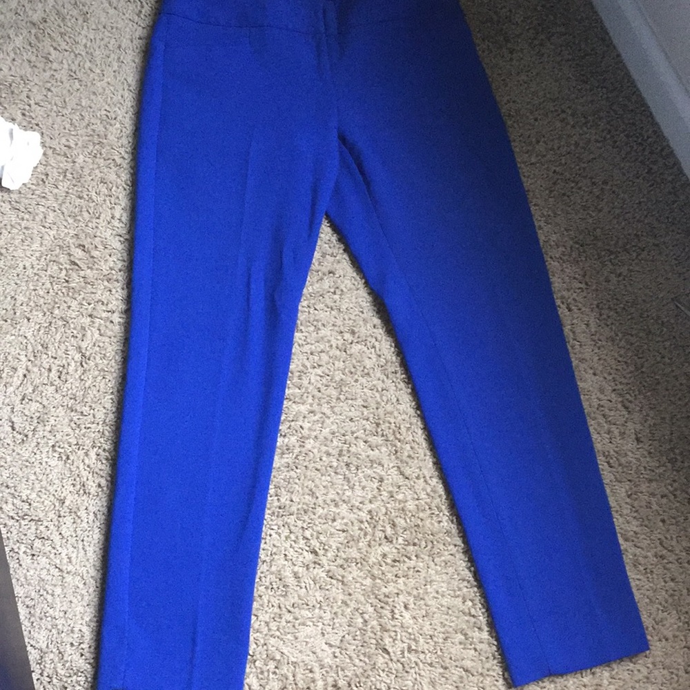 The Limited pants